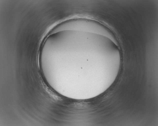 X0000076401272200611031712