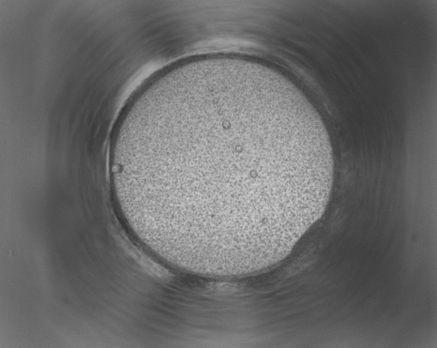 X0000076401275200611031712