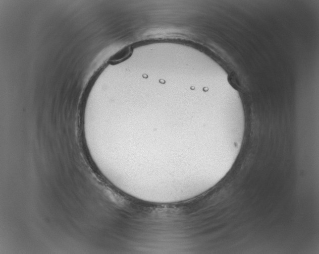 X0000076401277200611031712