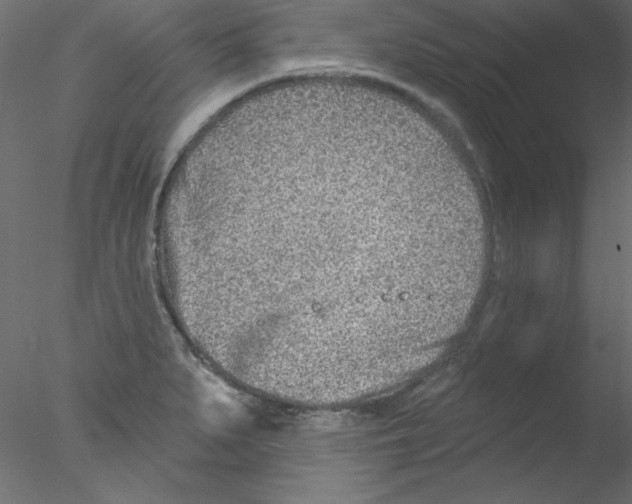 X0000076401279200611031712