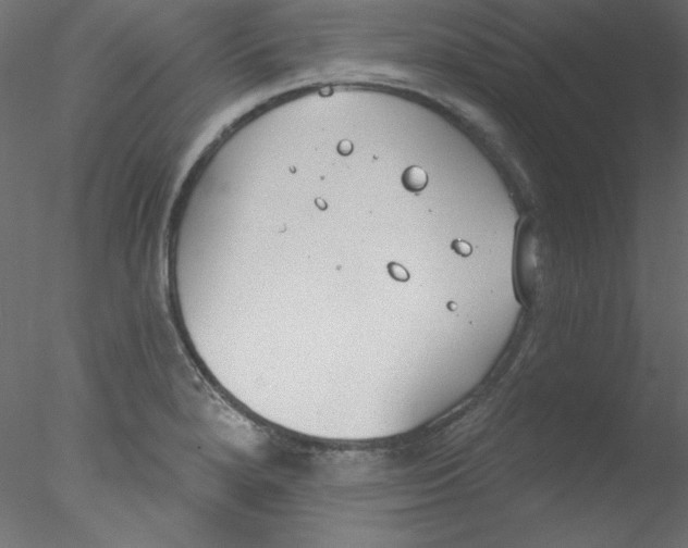 X0000076401280200611031712