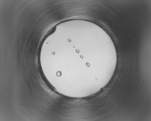 X0000076401284200611031712