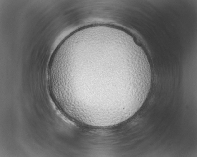 X0000076401287200611031712