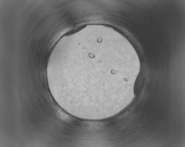 X0000076401289200611031712