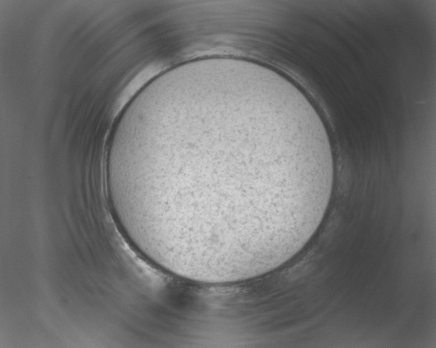 X0000076401290200611031712