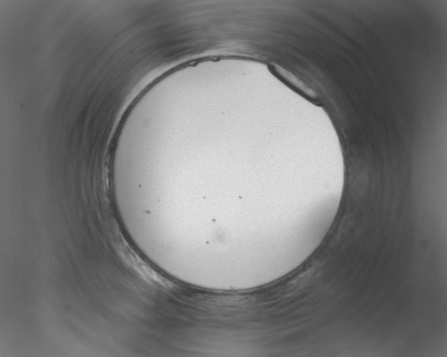 X0000076401292200611031712