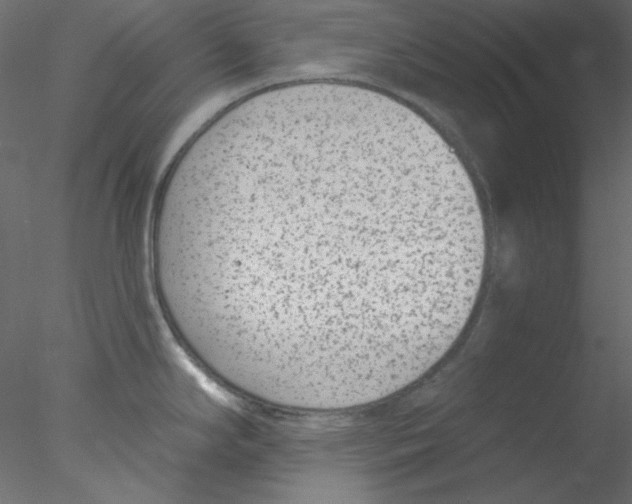 X0000076401294200611031712