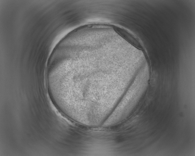 X0000076401295200611031712