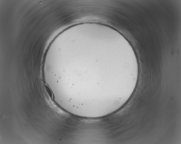 X0000076401296200611031712