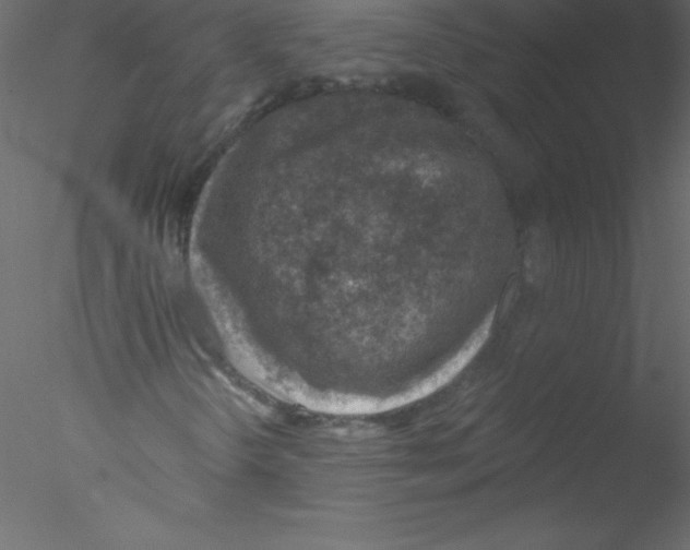 X0000076401298200611031711