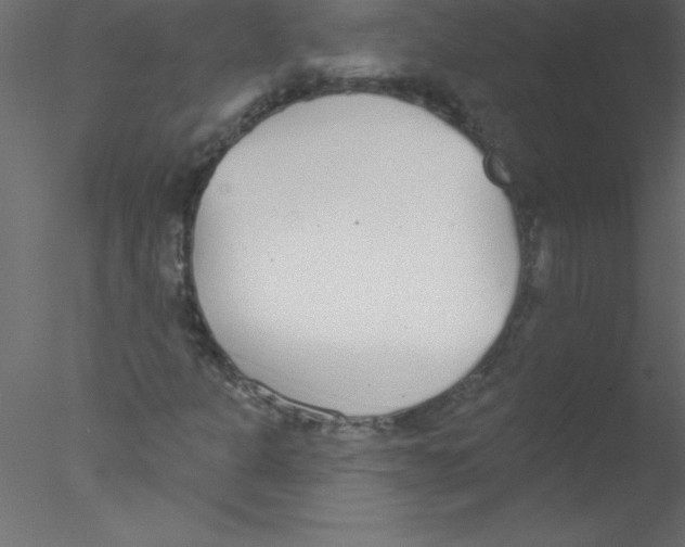 X0000076401301200611031711