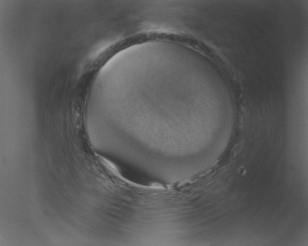 X0000076401303200611031711