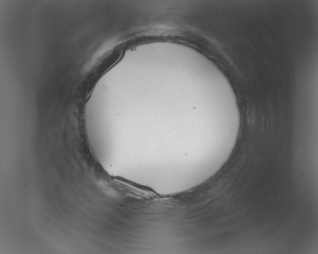 X0000076401304200611031711