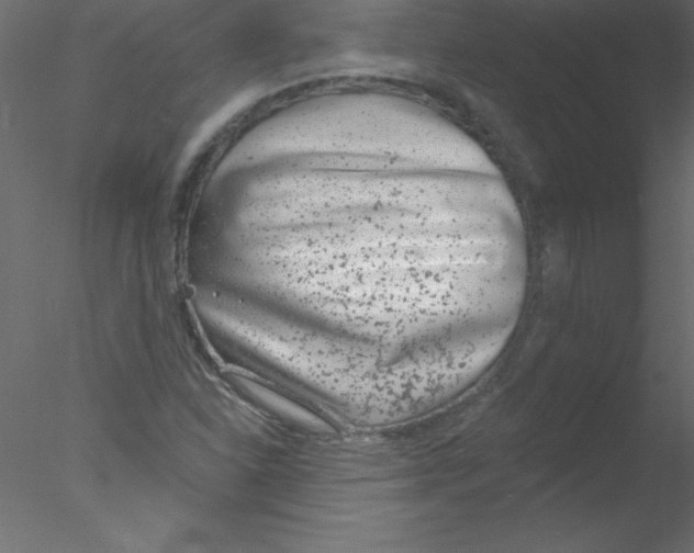 X0000076401310200611031711