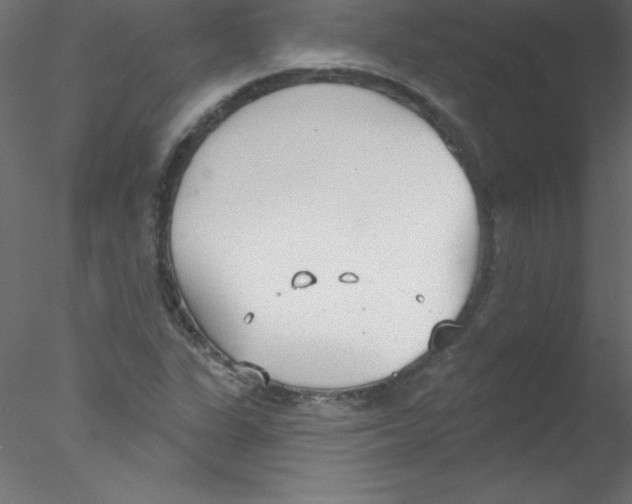 X0000076401311200611031711