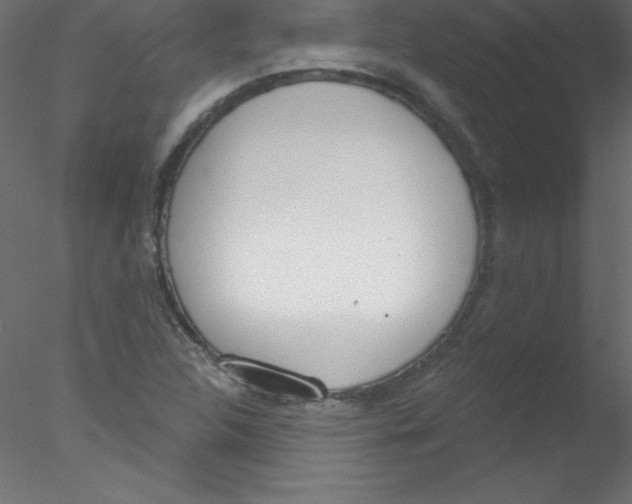 X0000076401312200611031711