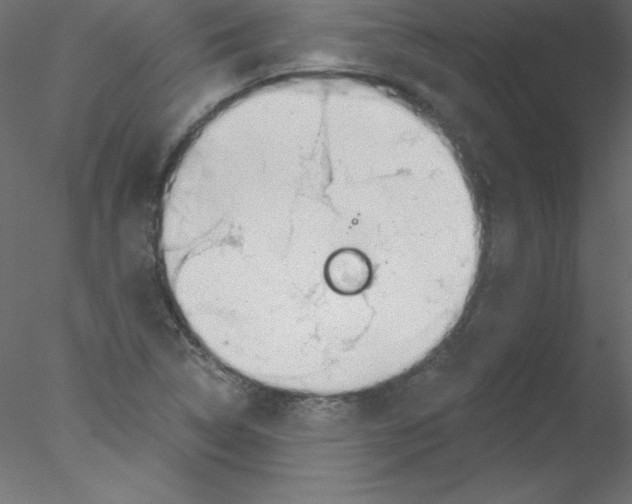 X0000076401314200611031711