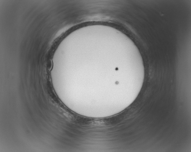 X0000076401315200611031711