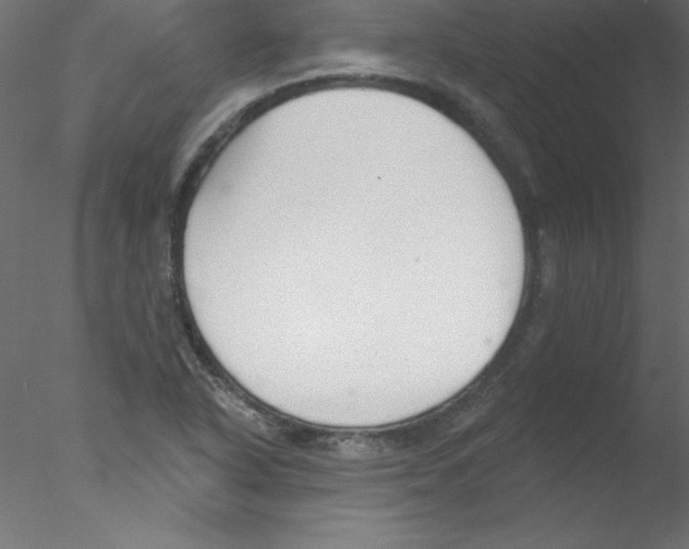 X0000076401318200611031711