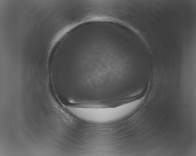 X0000076401319200611031711