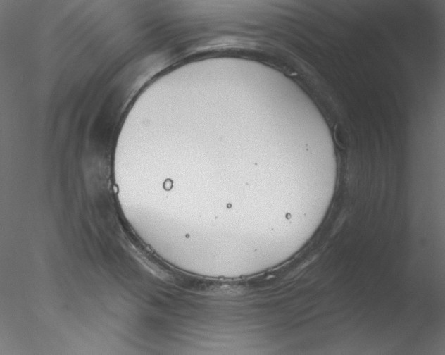 X0000076401321200611031711