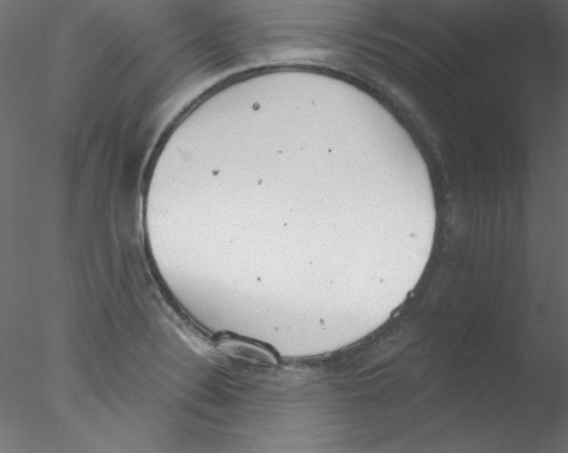 X0000076401324200611031711