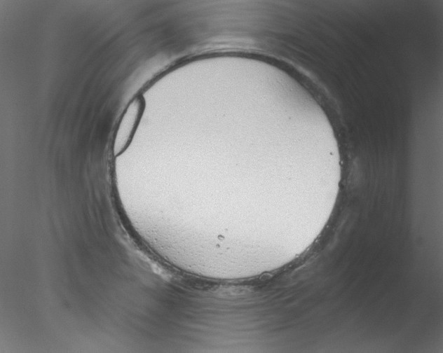 X0000076401325200611031711