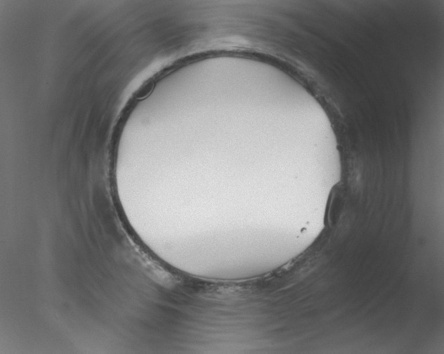 X0000076401326200611031712