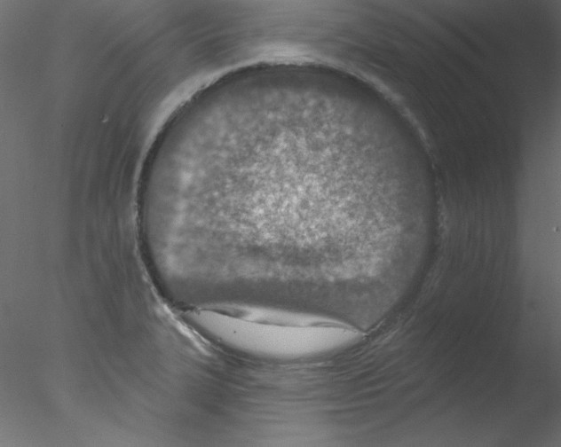 X0000076401327200611031712