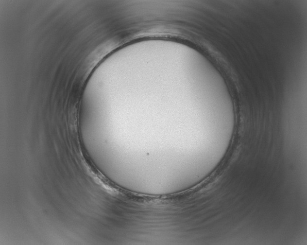 X0000076401329200611031712