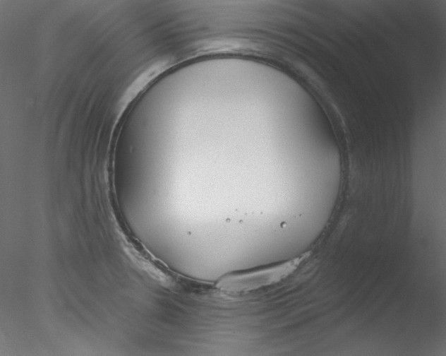 X0000076401330200611031712