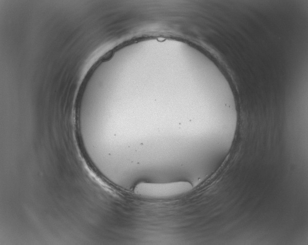 X0000076401335200611031712