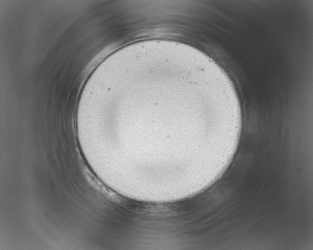 X0000076401338200611031712