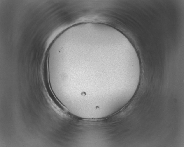 X0000076401344200611031712