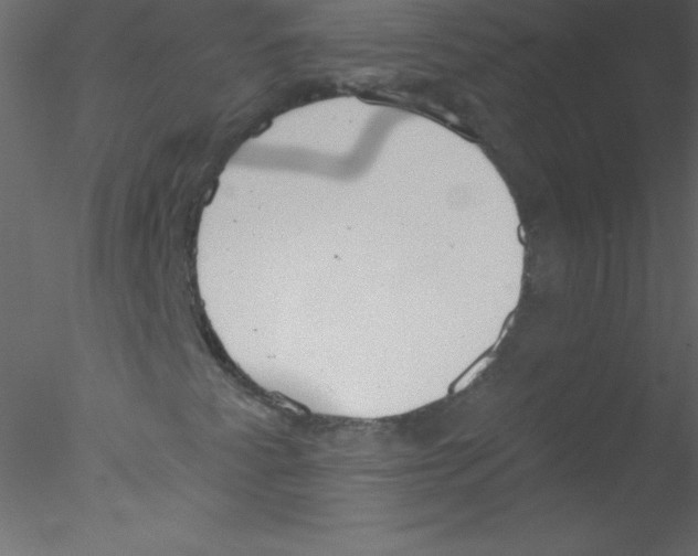 X0000076401345200611031711