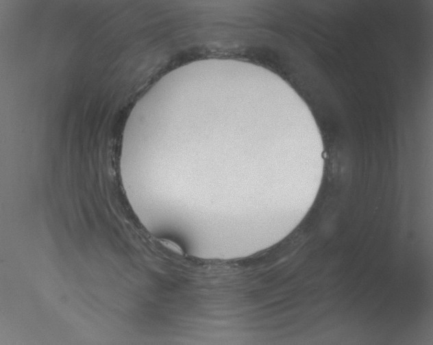 X0000076401346200611031711