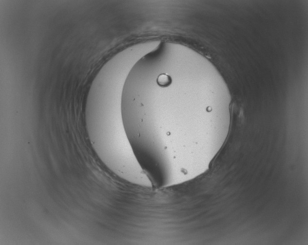 X0000076401348200611031711