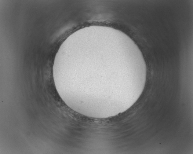 X0000076401350200611031711