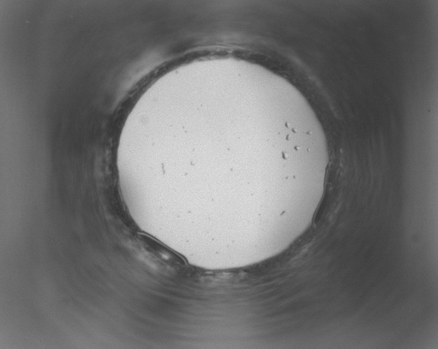 X0000076401352200611031711