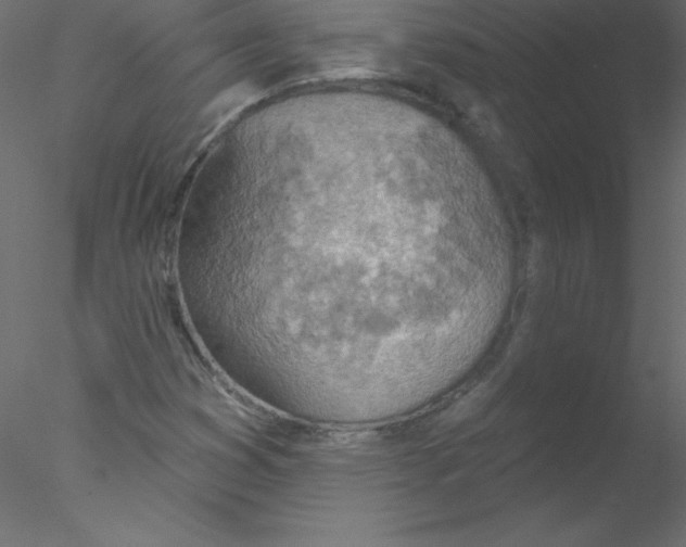 X0000076401353200611031711