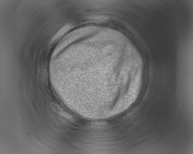 X0000076401354200611031711