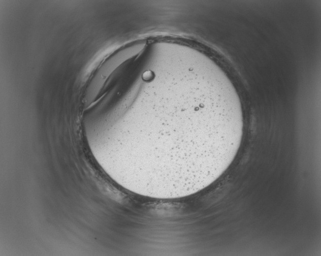 X0000076401359200611031711