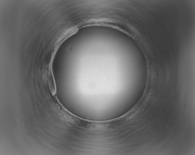 X0000076401361200611031711