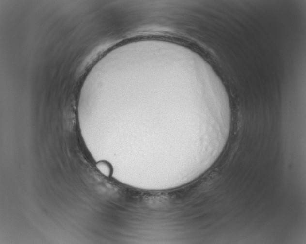 X0000076401363200611031711