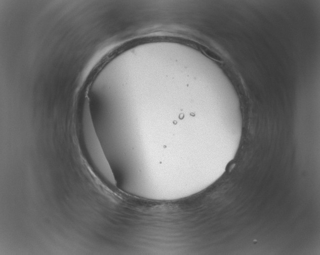 X0000076401368200611031711