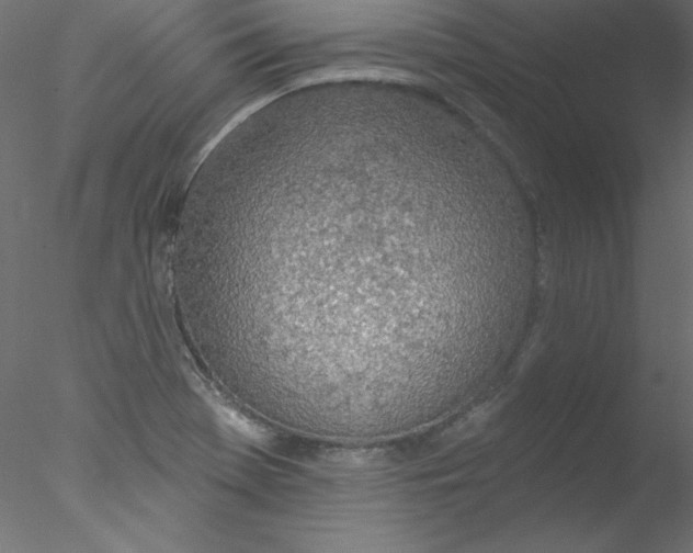 X0000076401369200611031711