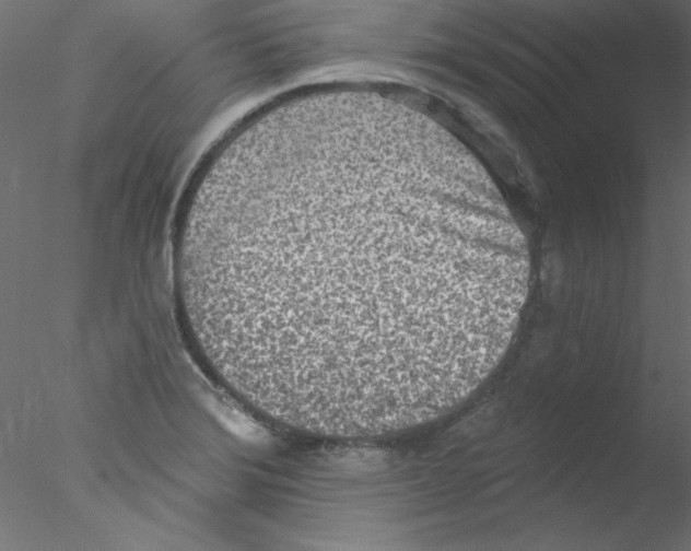 X0000076401372200611031711