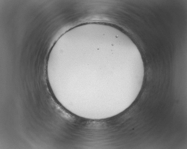 X0000076401374200611031711