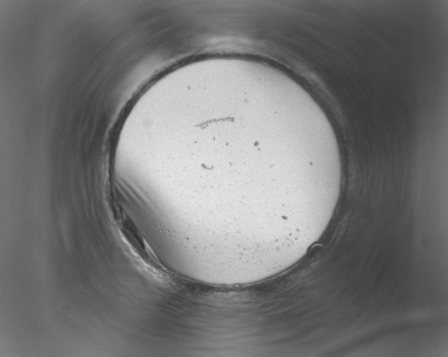 X0000076401376200611031710