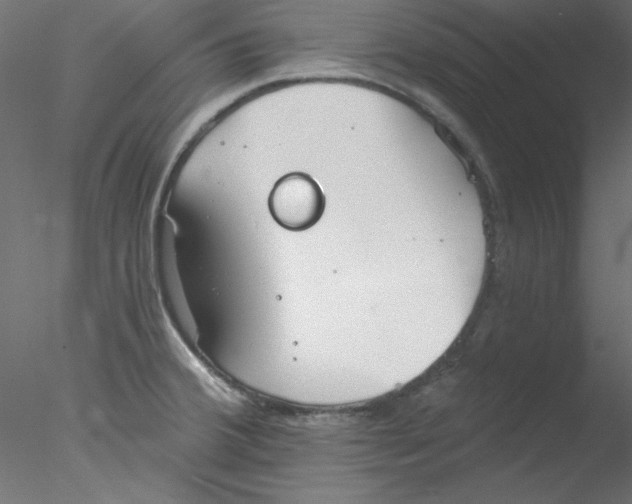 X0000076401380200611031710